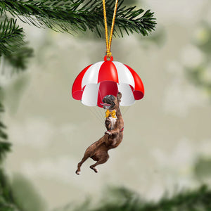 Boxer Fly With Parachute Christmas Two-Sided Ornament