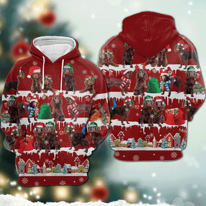 Boykin - Snow Christmas - 3D Hoodie